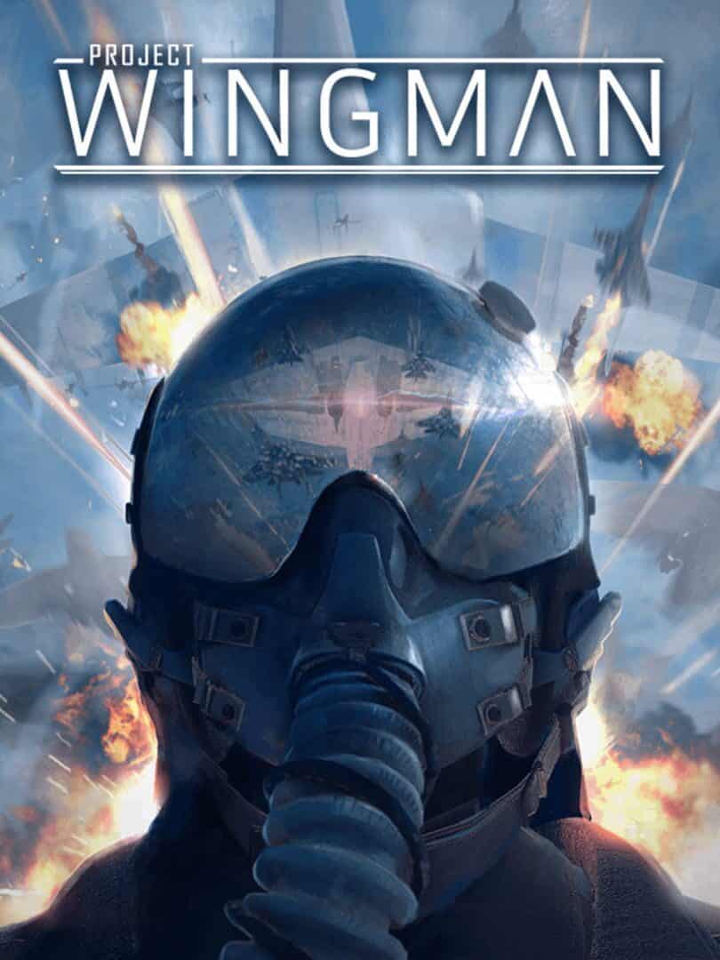 Project Wingman - VGA - Official best price